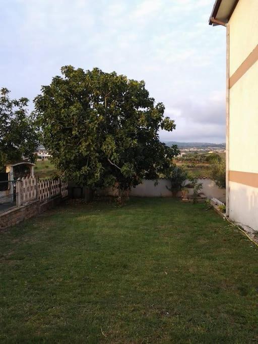 A Casa Mia Apartment Albano Laziale Luaran gambar