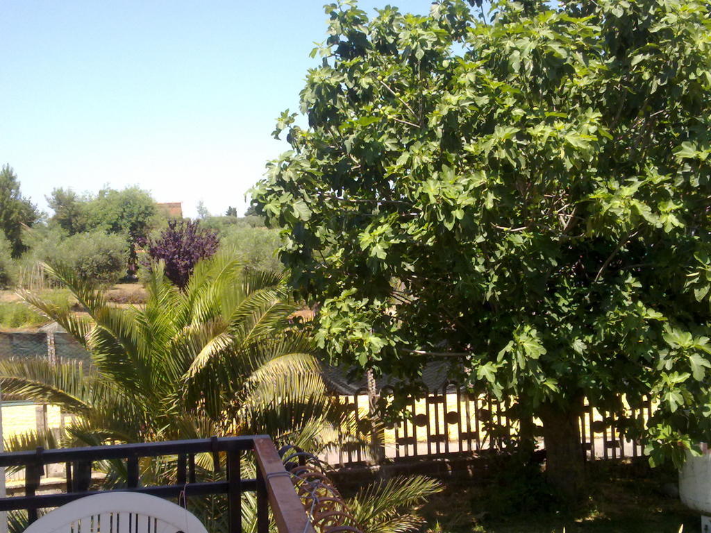 A Casa Mia Apartment Albano Laziale Luaran gambar